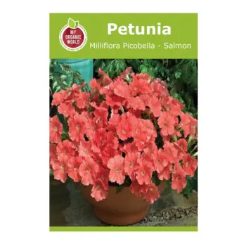 Petunia Milliflora Picobella Salmon Seeds