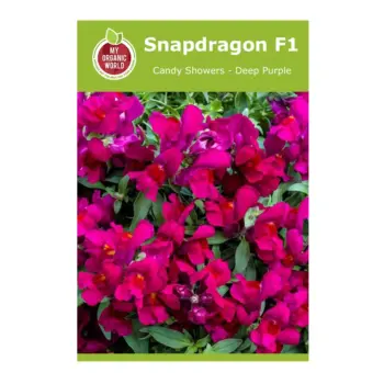 Snapdragon F1 Candy Showers Deep Purple Seeds