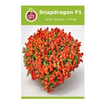 Snapdragon F1 Candy Showers Orange Seeds