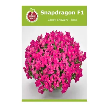 Snapdragon F1 Candy Showers Rose Seeds