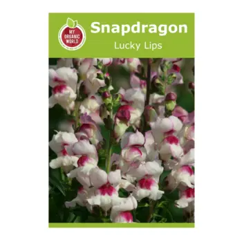 Snapdragon Lucky Lips Seeds
