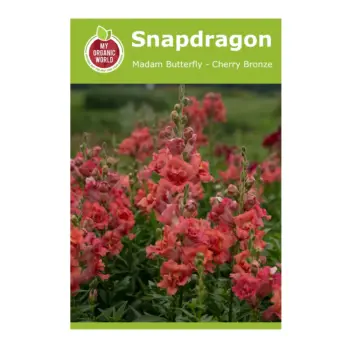 Snapdragon Madam Butterfly Cherry Bronze Seeds
