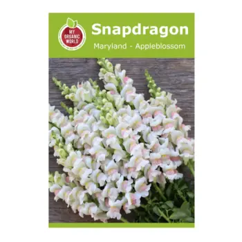 Snapdragon Maryland Appleblossom Seeds