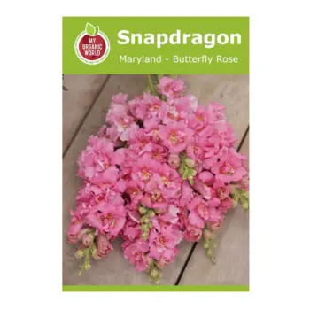 Snapdragon Maryland Butterfly Rose Seeds