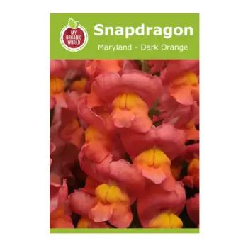Snapdragon Maryland Dark Orange Seeds