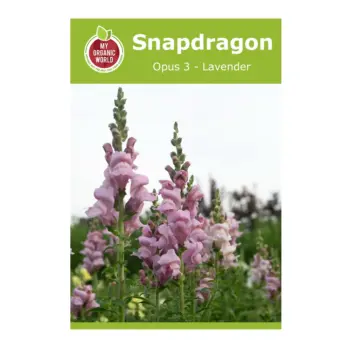 Snapdragon Opus 3 Lavender Seeds