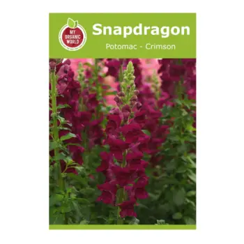 Snapdragon Potomac Crimson Seeds