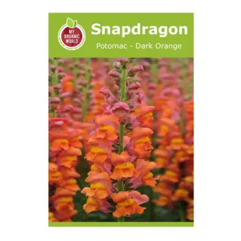 Snapdragon Potomac Dark Orange Seeds
