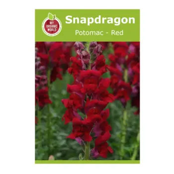 Snapdragon Potomac Red Seeds