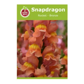 Snapdragon Rocket Bronze Seeds