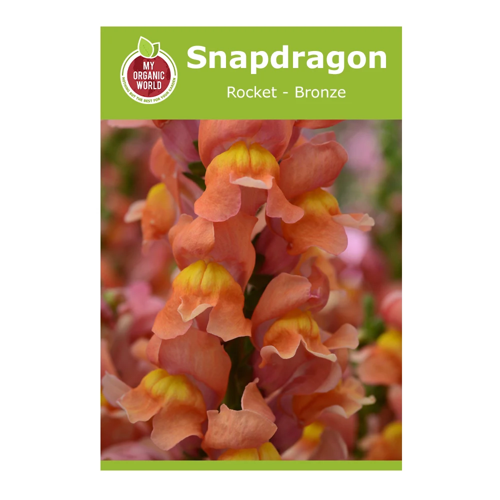 Snapdragon Rocket Bronze