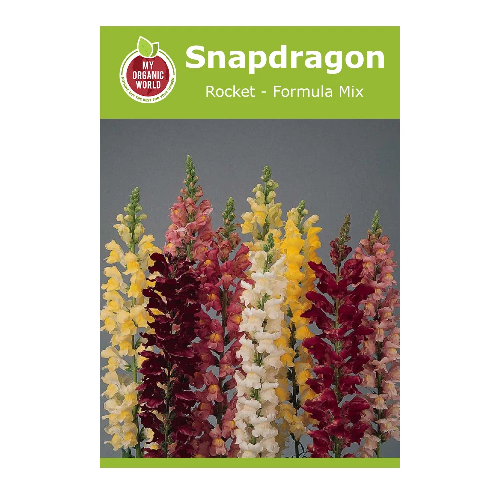 Snapdragon Rocket Formula Mix 1 Snapdragon Rocket Formula Mix