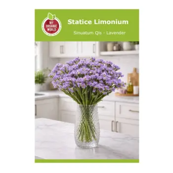 Statice Limonium Sinuatum Qis Lavender Seeds