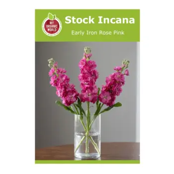 Stock Incana Early Iron Rose Pink Seeds