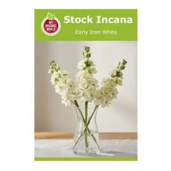 Stock Incana Early Iron White Seeds