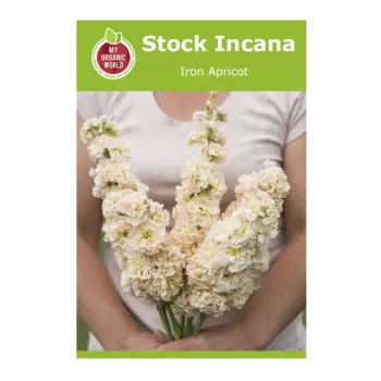 Stock Incana Iron Apricot Seeds