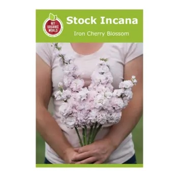Stock Incana Iron Cherry Blossom Seeds