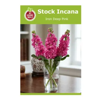 Stock Incana Iron Deep Pink Seeds