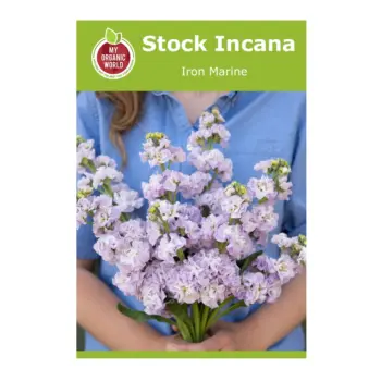 Stock Incana Iron Marine Seeds