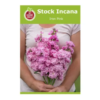 Stock Incana Iron Pink Seeds
