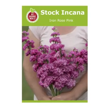 Stock Incana Iron Rose Pink Seeds