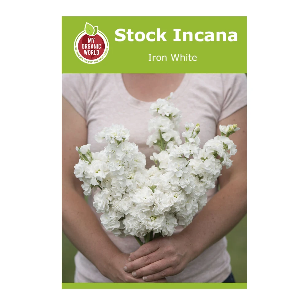 Stock Incana Iron White 1 Stock Incana Iron White
