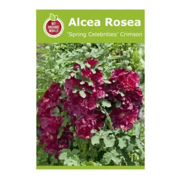 Alcea Rosea Spring Celebrities Crimson Seeds