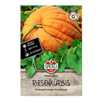 Atlantic Giant Pumpkin
