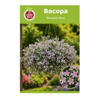Bacopa Blutopia Blue Seeds