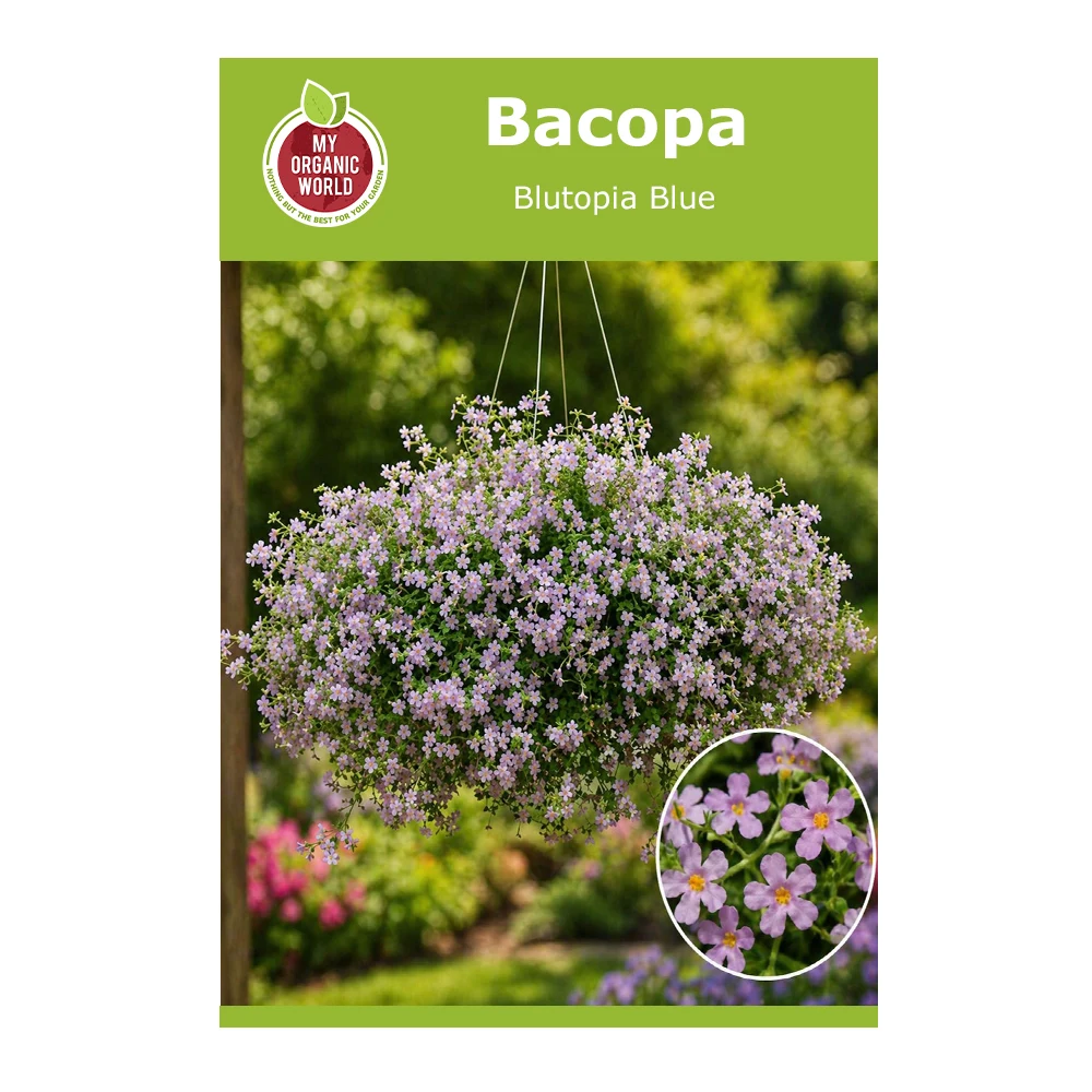 Bacopa Blutopia Blue 1 Bacopa Blutopia Blue