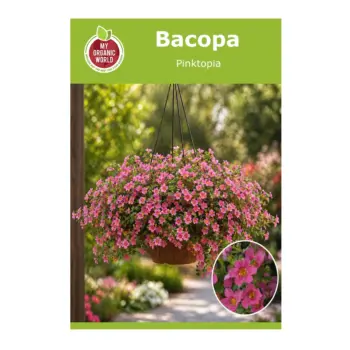 Bacopa Pinktopia Seeds