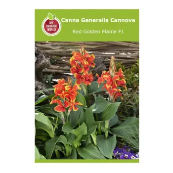 Canna Generalis Cannova Red Golden Flame F1 Seeds