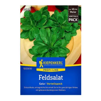 Corn Salad (Lamb’s Lettuce) ‘Gala’