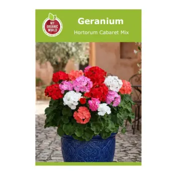 Geranium Hortorum Cabaret Mix Seeds