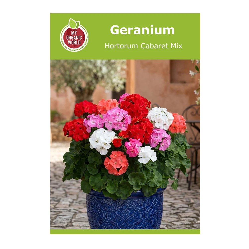 Geranium Hortorum Cabaret Mix 1 Geranium Hortorum Cabaret Mix