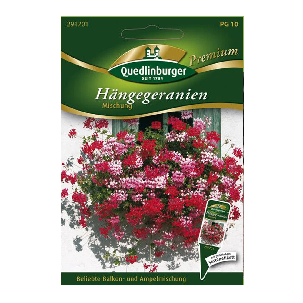 Hanging Geranium Mix