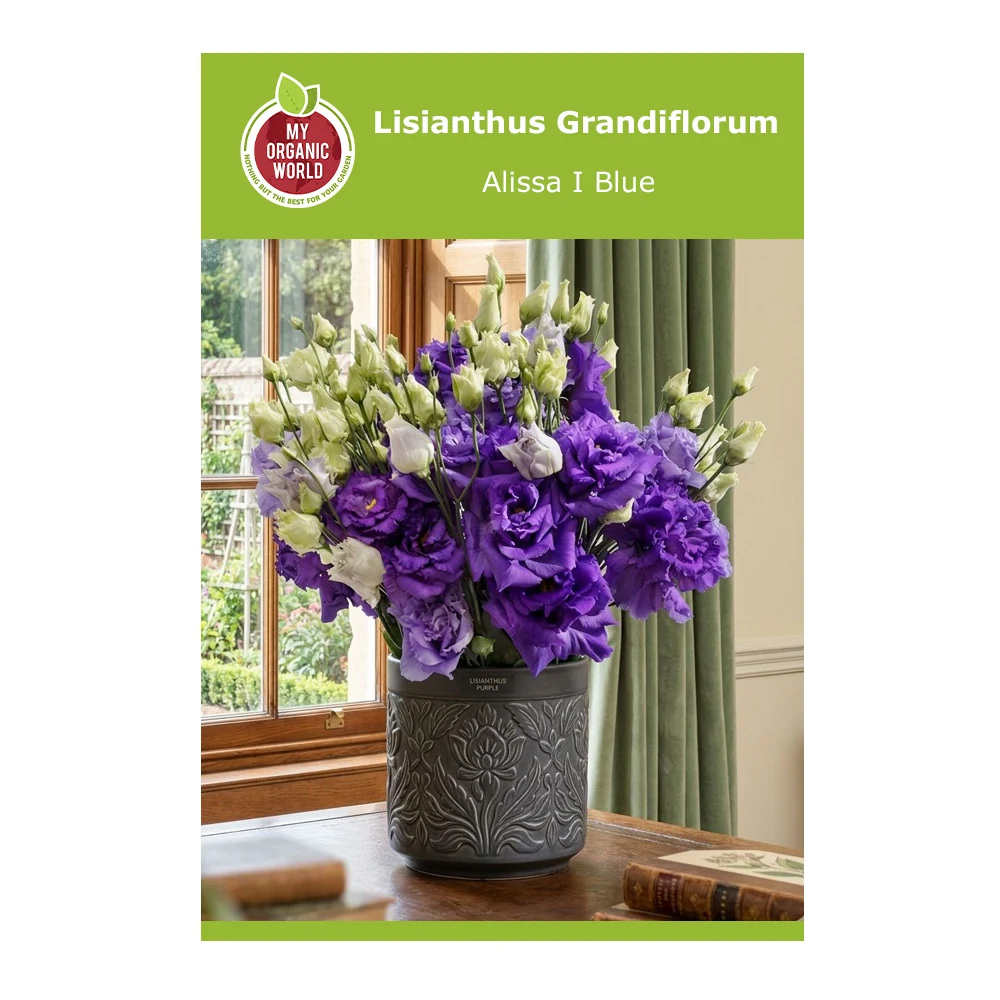 Lisianthus Grandiflorum Alissa I Blue