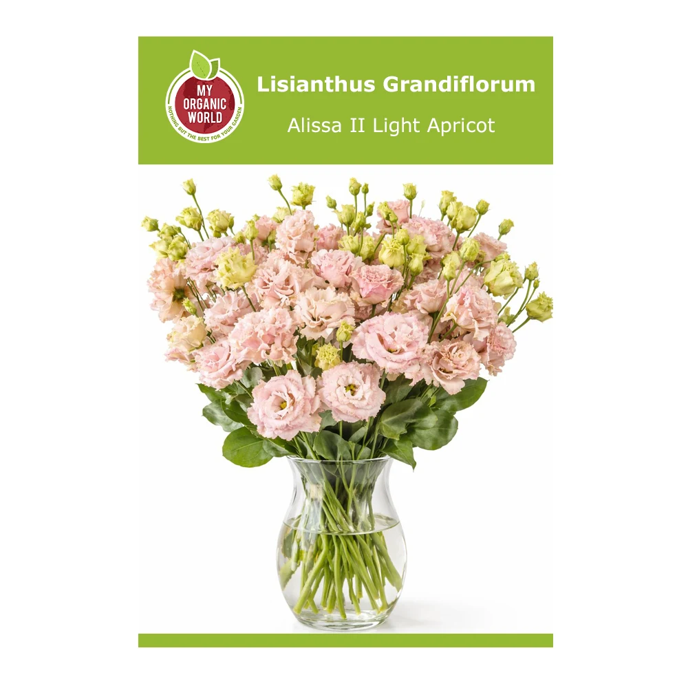 Lisianthus Grandiflorum Alissa II Light Apricot 1 Lisianthus Grandiflorum Alissa II Light Apricot