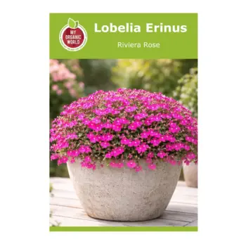 Lobelia Erinus Riviera Rose Seeds
