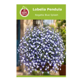 Lobelia Pendula Regatta Blue Splash Seeds