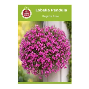 Lobelia Pendula Regatta Rose Seeds