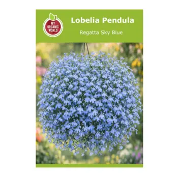 Lobelia Pendula Regatta Sky Blue Seeds