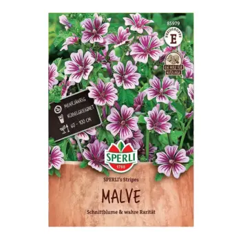 Malva Sylvestris Zebrina