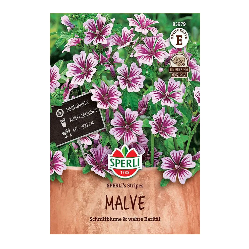 Malva Sylvestris Zebrina 1 Malva Sylvestris Zebrina