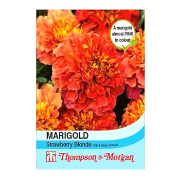 Marigold Strawberry Blonde