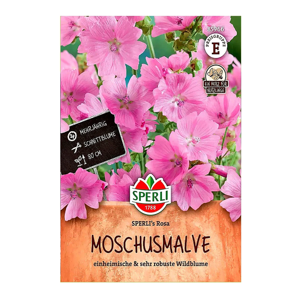 Musk Mallow 1 Musk Mallow