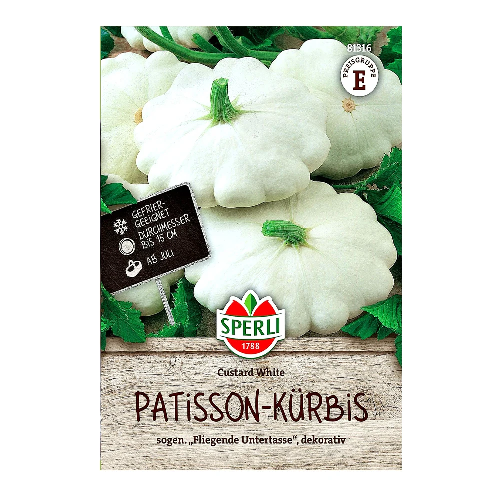 Pattypan Squash Custard White 1 Pattypan Squash Custard White