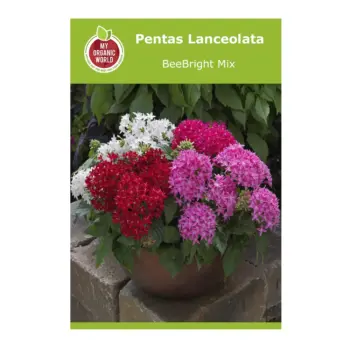 Pentas Lanceolata BeeBright Mix Seeds