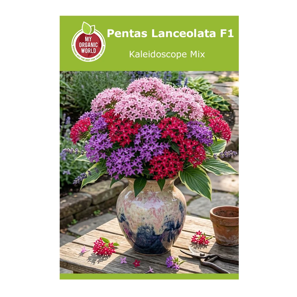 Pentas Lanceolata F1 Kaleidoscope Mix