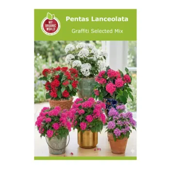 Pentas Lanceolata Graffiti Selected Mix Seeds